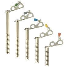 Black Diamond Express Ice Screw