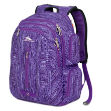 High Sierra Access Daypack (5462)