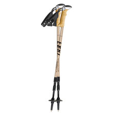 LEKI Diva AERGON Anti-Shock Poles (pair)