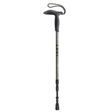 LEKI WanderFreund Anti-Shock Pole (Single Pole)