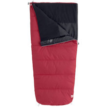 Marmot Kid