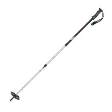 MSR Denali III Trekking Poles (pair) image