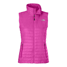 The North Face Blaze Vest for Women