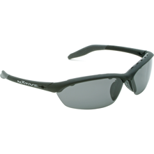 Native Eyewear Polarized Hardtop sunglasses