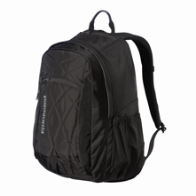 Patagonia Violeta 25L Pack