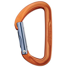 Petzl Spirit Carabiner