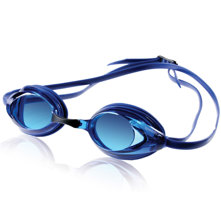 Speedo Vanquisher Goggle