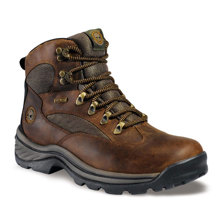 Timberland Chocorua Trail Hiking Shoes for Men image