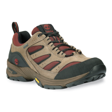 Timberland Ledge 2.0 Leather with Gore-Tex Membrane Low Hiking Shoes for Men