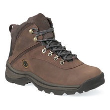Timberland White Ledge Hiking Shoes for Men image