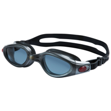 Zoggs Phantom Elite Polarized Goggles, Silver/Smoke Lens