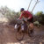 Blackburn : Picture 2 thumbnail