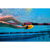 Finis : Picture 3 thumbnail