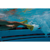 Finis : Picture 5 thumbnail
