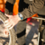 Freestyle : Picture 3 thumbnail