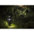 Lights & Motion : Picture 5 thumbnail