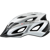 Louis Garneau : Picture 4 thumbnail