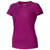 Marmot : Picture 1 thumbnail
