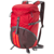 Marmot : Picture 2 thumbnail