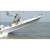 Pelican : Picture 4 thumbnail