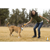 Ruffwear : Picture 4 thumbnail