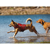 Ruffwear : Picture 7 thumbnail