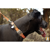 Ruffwear : Picture 3 thumbnail