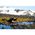 LifeStraw : Picture 4 thumbnail