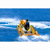 Wow Watersports : Picture 9 thumbnail