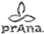 PrAna Logo