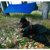 Crazy Creek Crazy Tarp