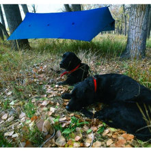 Crazy Creek Crazy Tarp