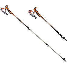 Leki Carbonlite
