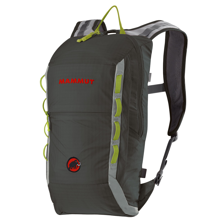 Mammut Neon Light