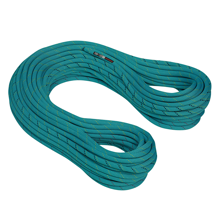 Mammut Sensor 10mm