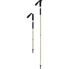 MSR Swift 2