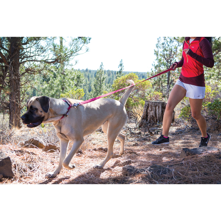 Ruff Wear Flat Out Leash