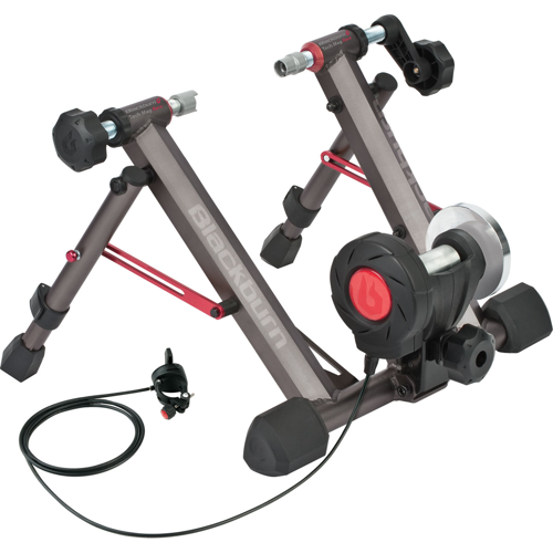 Schwinn Double Trailblazer Bike Trailer