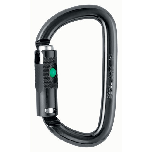 EAN 3342540071889 product image for Petzl Am'D Ball-Lock Carabiner | upcitemdb.com