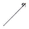 Trekking Poles