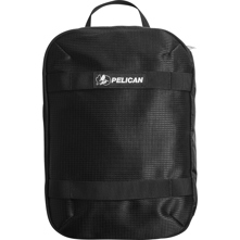 Pelican : Picture 1 regular