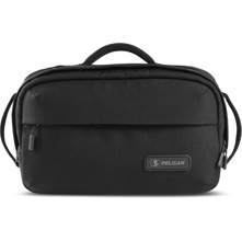 Pelican : Picture 1 regular