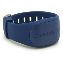 Sharkbanz : Picture 1 regular