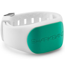 Sharkbanz : Picture 1 regular