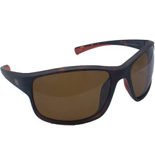 Dive Shades Aruba II Sunglasse Picture