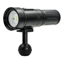 Divevolk SL20 Underwater Video Picture