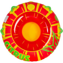 HO Sports Citrus 1 Rider Towab Picture