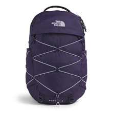 The North Face Borealis Backpa Picture