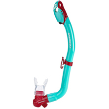 Rapido Senhora Junior Dry Snor Picture