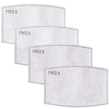 Simple Satch PM2.5 Filter, 4-P Picture